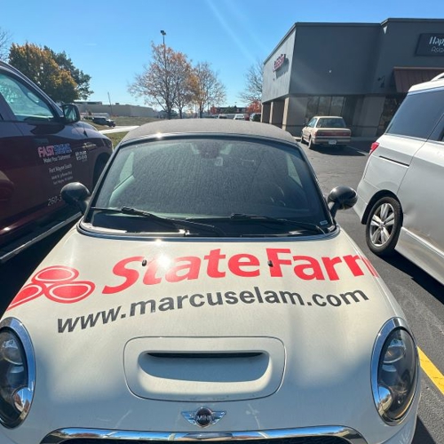 Car Vinyl
